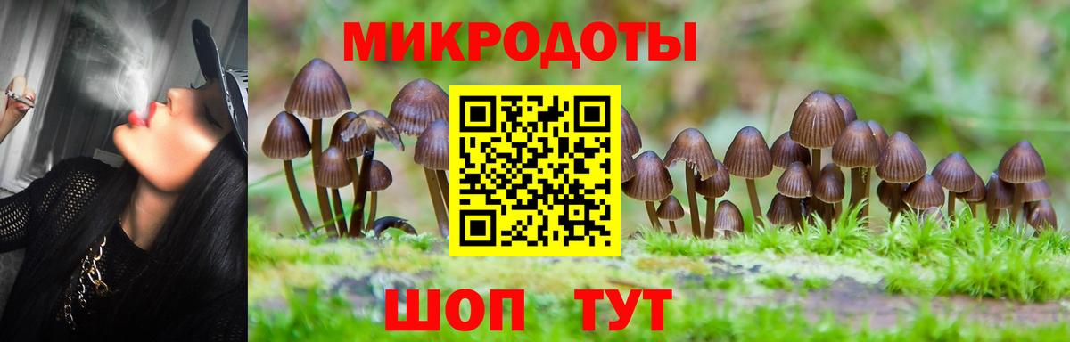 Сланцы  Псилоцибиновые грибы Cubensis  Вход с VPN 